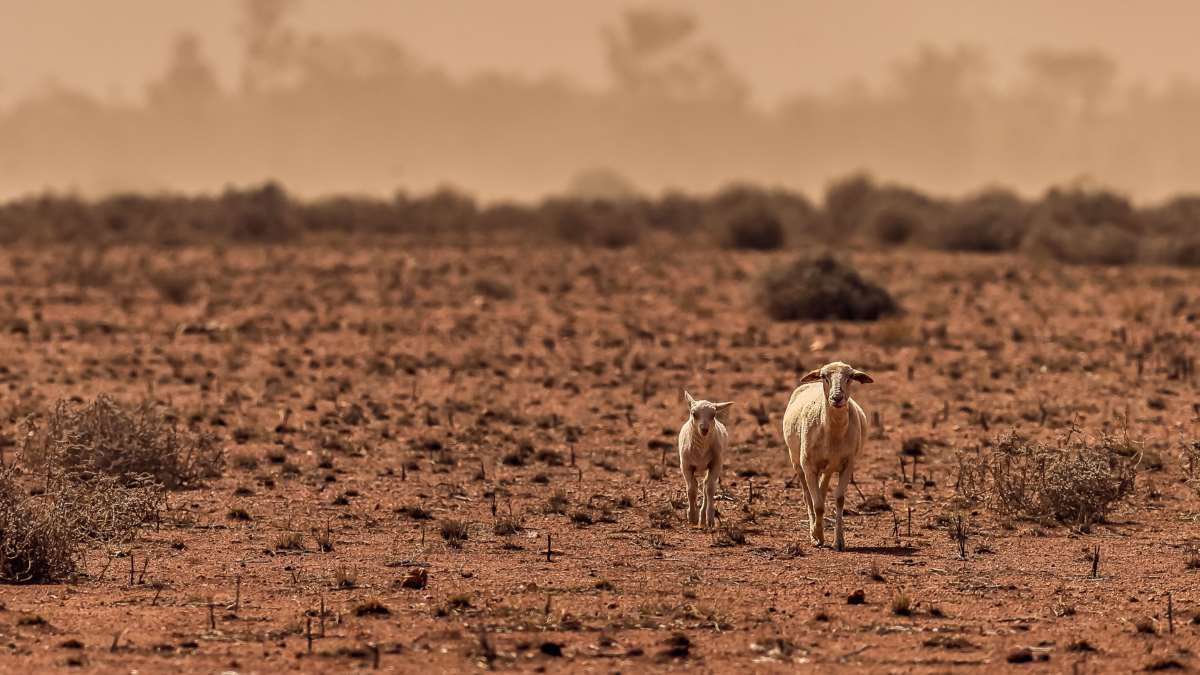 Key driver increased by climate change is worsening droughts