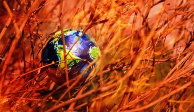 Three years until we reach 1.5 °C global warming, scientists warn