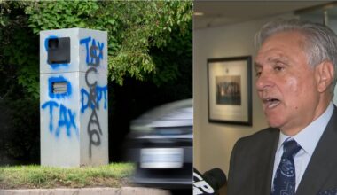 Councillor pushes to hat program