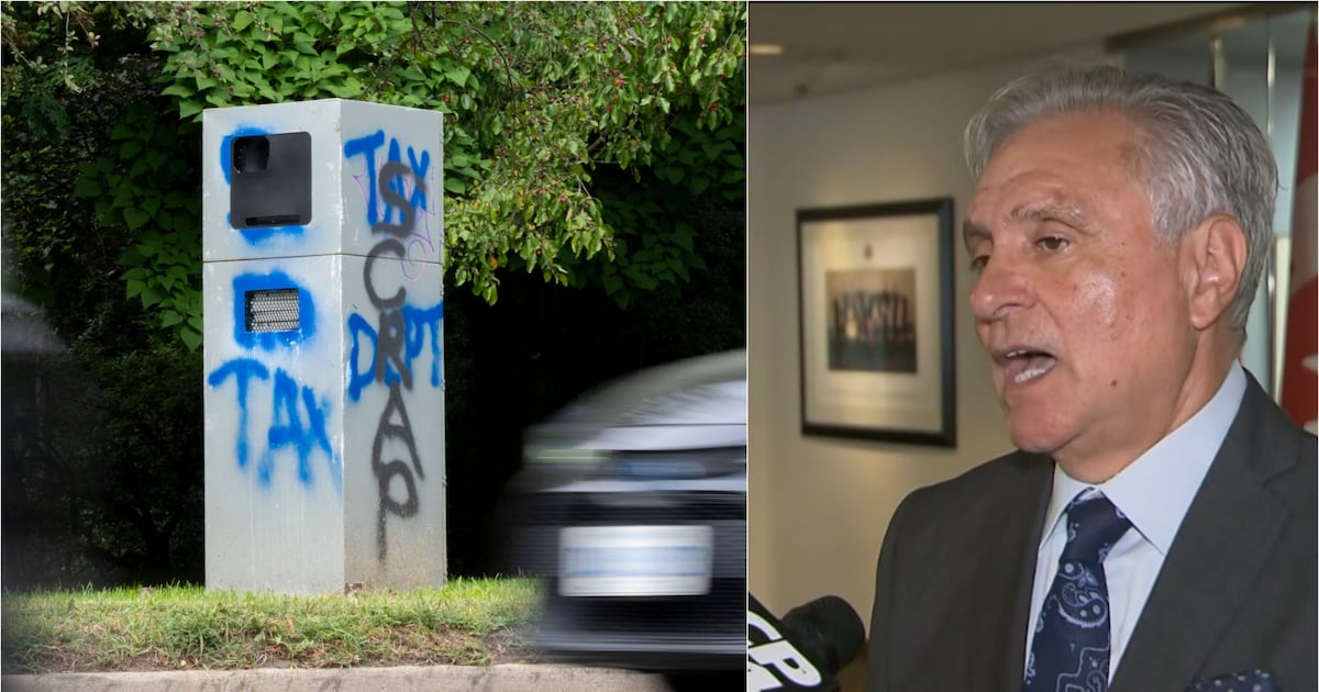 Councillor pushes to hat program