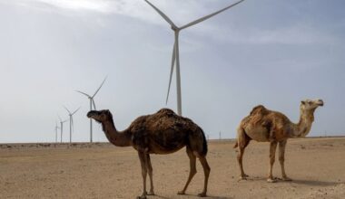 UK Joins US, France in Backing Moroccan Plans for Western Sahara