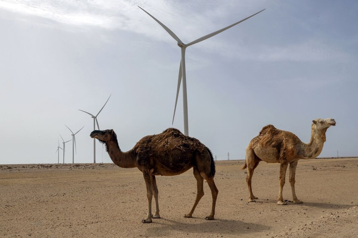 UK Joins US, France in Backing Moroccan Plans for Western Sahara