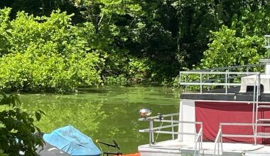 Environmental leaders warn of harmful effects of algal bloom in Ky. lake