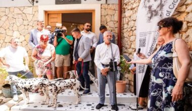 Museum dedicated to Dalmatian dog opens in Dalmatia