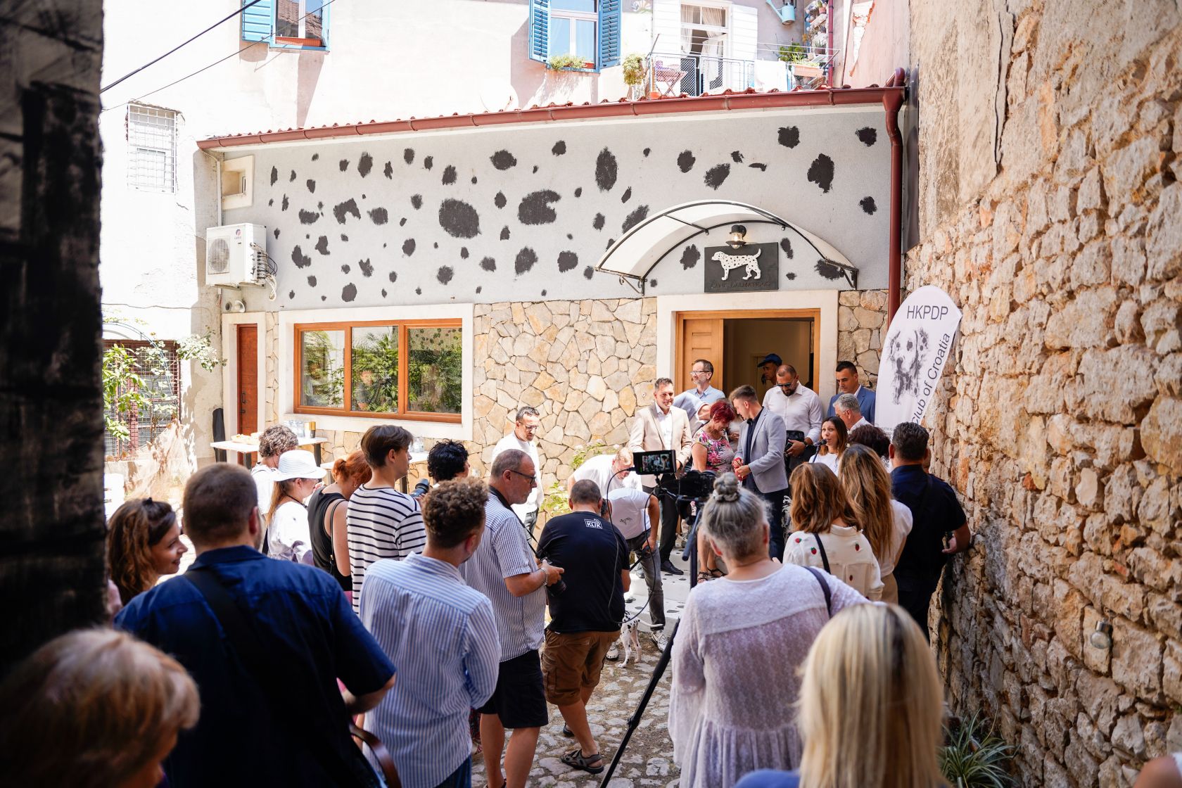House Dalmatian Dog in Šibenik 