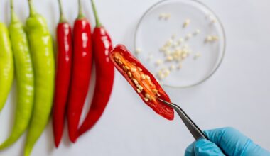 Review: Capsaicin as a Microbiome Modulator: Metabolic Interactions and Implications for Host Health. Image Credit: S. Singha / Shutterstock