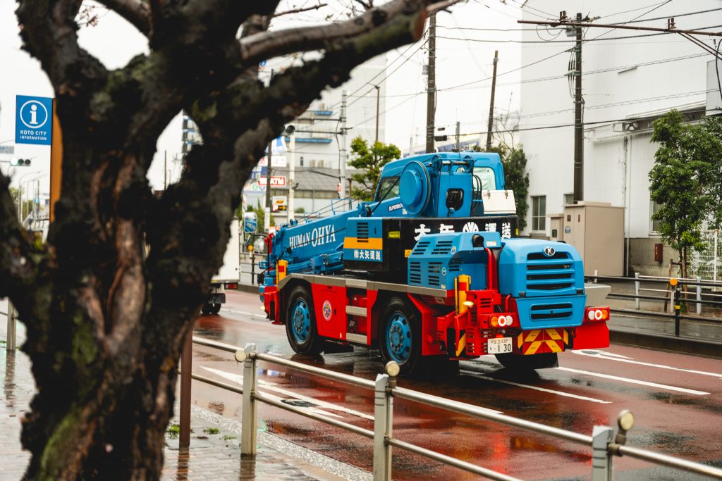 Japan Griffin Riley Ilce 1 04 01 25 25