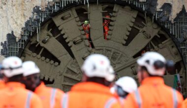UK government fumes at ‘ludicrous’ £125M ‘bat tunnel’