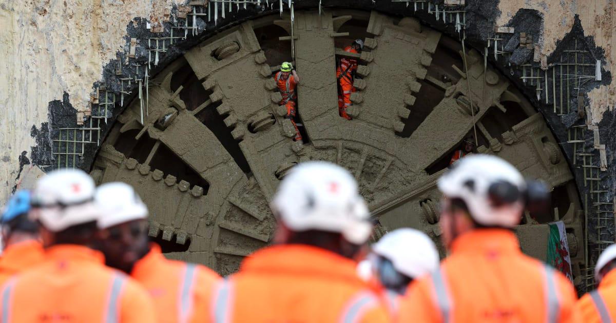 UK government fumes at ‘ludicrous’ £125M ‘bat tunnel’