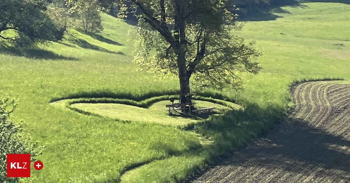 Der gerettete Herzerlbaum vom Rosental <3