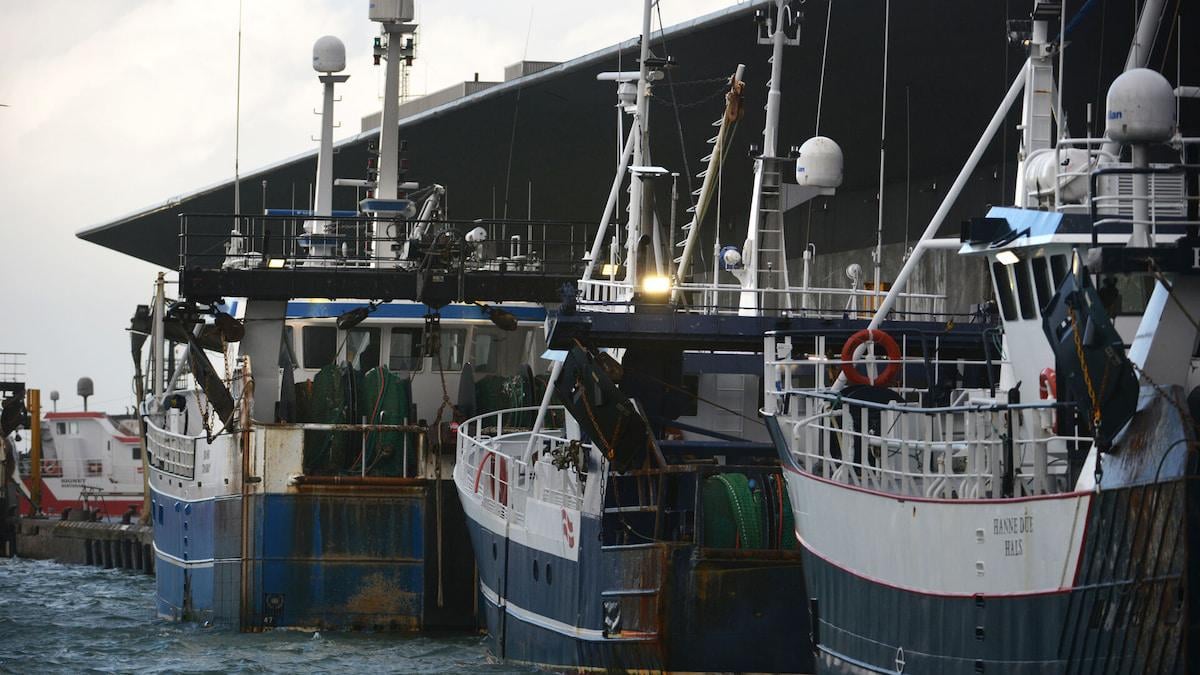 'Opsigtsvækkende' og 'absurd' grænse på én million kroner tillader bundtrawl i beskyttet natur [Forbud hvis man fisker for under 1 million, men der er ikke nødvendigvis forbud, hvis man fisker for mere]