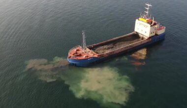 'Meget toksiske' stoffer er udeladt fra ministeries nye status over havforurening