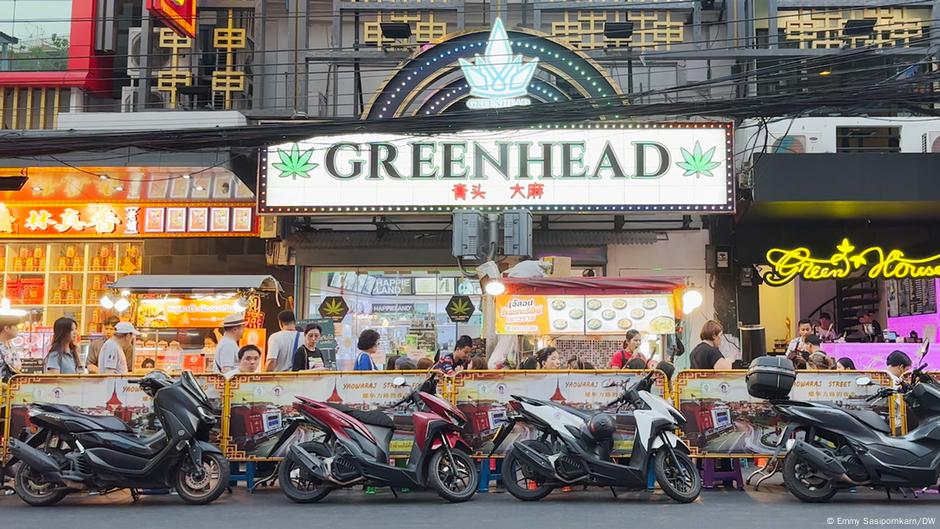 Thailand moves to make recreational cannabis illegal again – DW