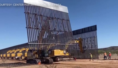 Border wall project in southern Arizona raises environmental concerns