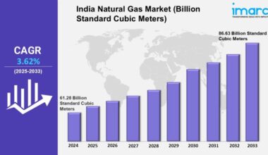 India Natural Gas Market Report 2025-2033