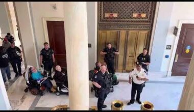 Senior citizens in wheelchairs are getting arrested for protesting
