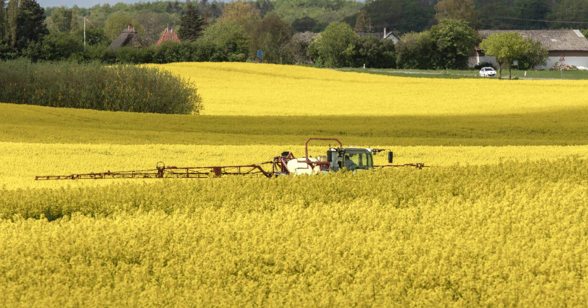 Danskerne får kræft som aldrig før, mens markerne sprøjtes med gift. Er der en sammenhæng?
