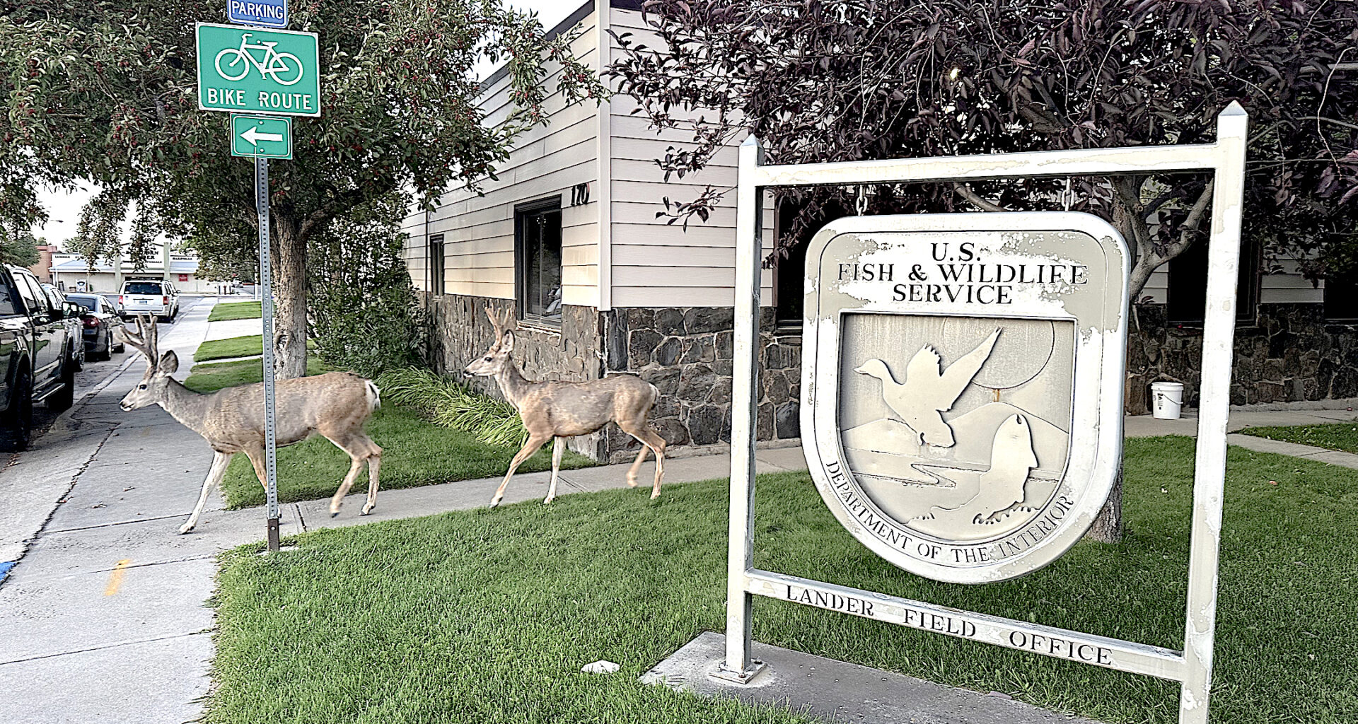 DOGE’s plans to nix Fish and Wildlife's tribal-focused Lander office reversed