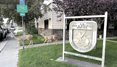 DOGE’s plans to nix Fish and Wildlife's tribal-focused Lander office reversed