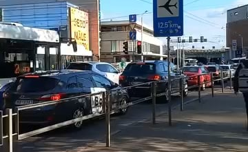 Origo vasaras iemītnieki izlīduši beidzot ārā!