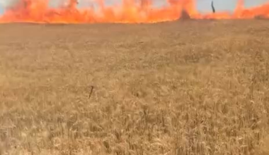 Farmers in Ukraine showhow they saved a field of wheat burning due to Russian shelling.