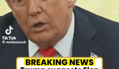 We’re all just waiting for Shitler Elon to spill all the secrets.