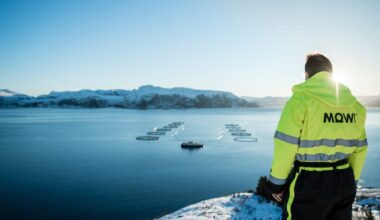 Norway salmon prices correct down a little with Chilean on slide, Scottish steady