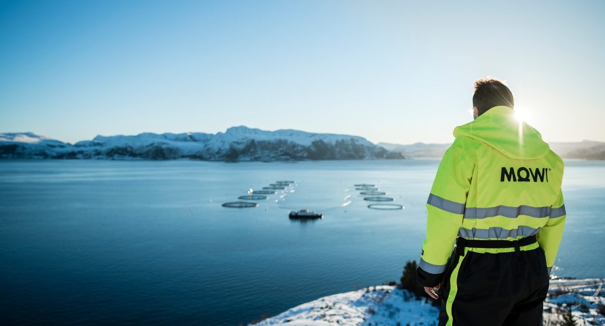 Norway salmon prices correct down a little with Chilean on slide, Scottish steady