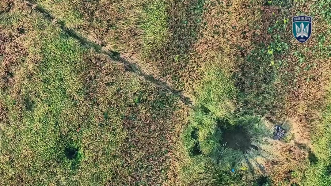 Verry graphic! Russian soldier in tall grass gets eviscerated by Ukranian FPV drone.