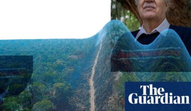 ‘We are perilously close to the point of no return’: climate scientist on Amazon rainforest’s future | Amazon rainforest