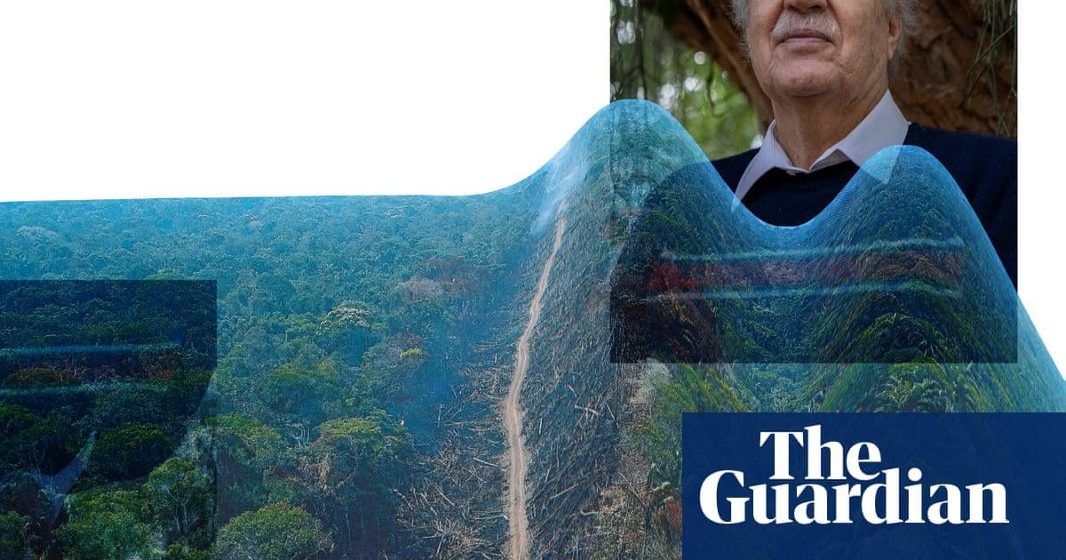 ‘We are perilously close to the point of no return’: climate scientist on Amazon rainforest’s future | Amazon rainforest