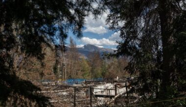 Wildfires 'charter' includes global co-operation