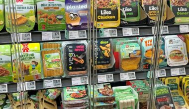 Veganer Fleischersatz: Ruf nach rechtlicher Klarheit bei Fleischbezeichnungen