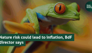 Nature risk could lead to inflation, BdF director says