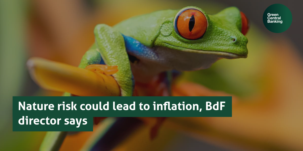 Nature risk could lead to inflation, BdF director says