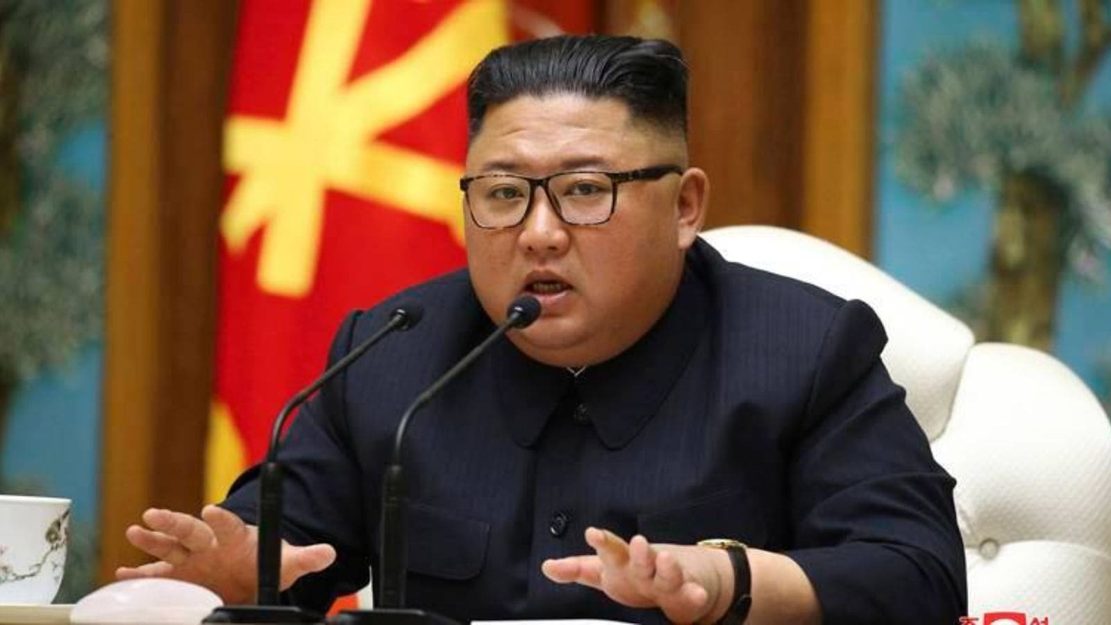 ‘Oppa’ becomes ‘comrade’ & screenshots every 5 minutes: What phone smuggled out of North Korea reveals | World News