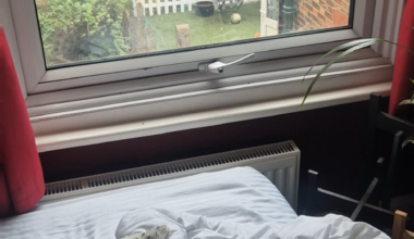 Looking for advice. Neighbour keeps watching me.