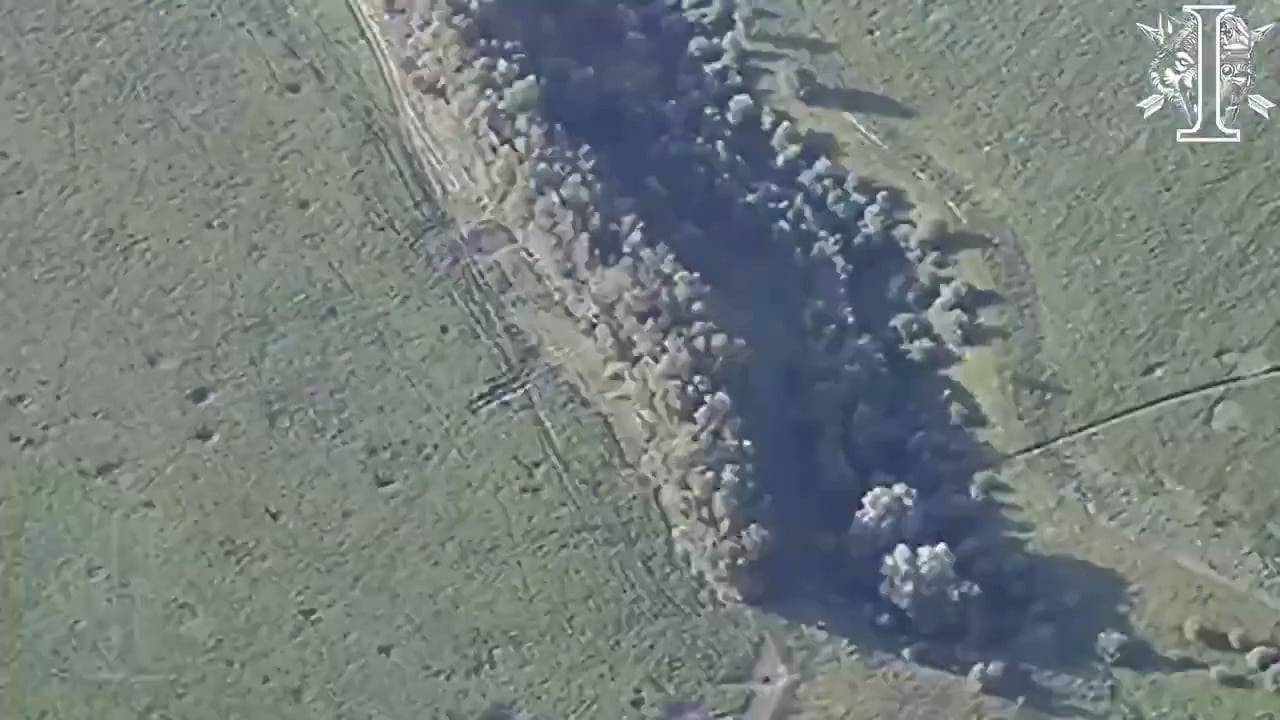 Footage of Ukrainian HIMARS strikes on Russian D-30 howitzers and 2S1 Gvozdika SPGs (Sumy front, June 2025)