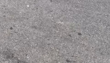 Divni turisti i uzvisena gospoda sa zapada