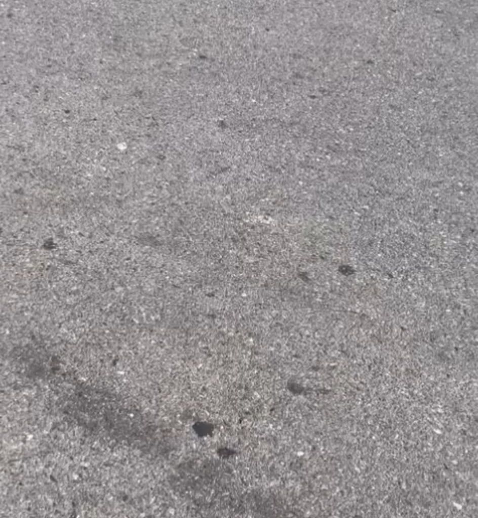 Divni turisti i uzvisena gospoda sa zapada