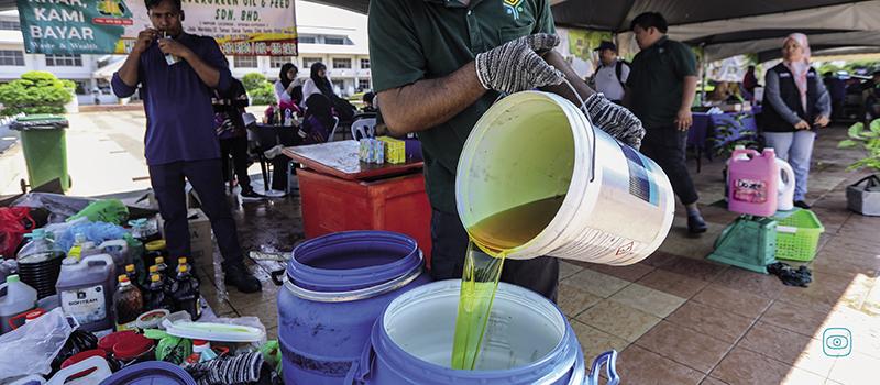 Sustainable Aviation Fuel Claims Undermined by Fraud and Deforestation