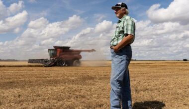 'They quit after a few hours': Farmers admit they can't find American workers