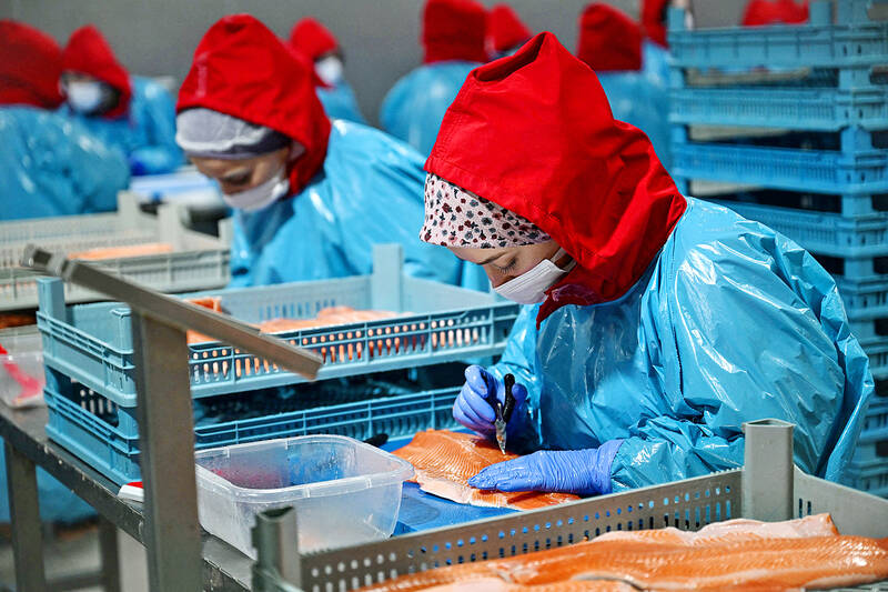 ‘Turkish salmon’: the Black Sea’s new rose-colored gold