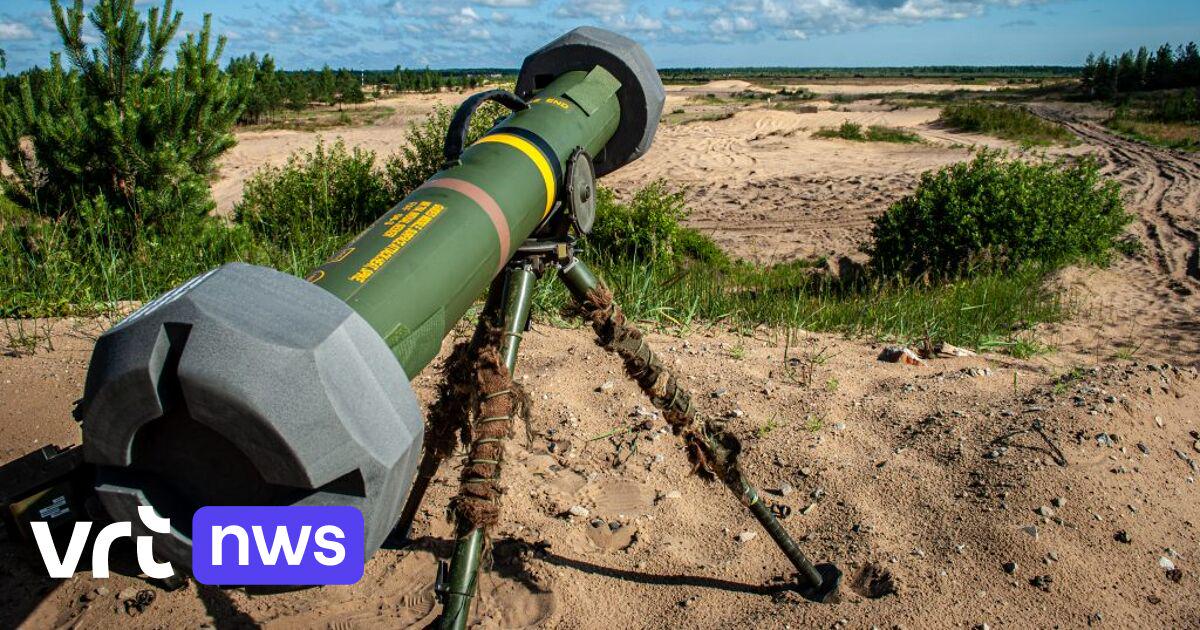 "6.000 euro per jaar per gezin voor defensie": econoom Gert Peersman vindt 5 procent NAVO-norm onrealistisch | VRT NWS: nieuws