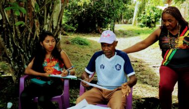 Pará's Amazon forest carbon deal in doubt as prosecutors move to block it
