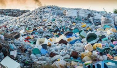 Why we need to beat plastic pollution for a healthier tomorrow- The Week
