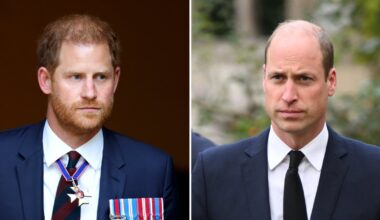 King Charles' Funeral Likely to Reunite Princes Harry and William