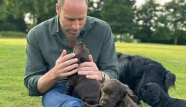 Prince William 1