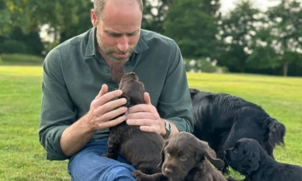Prince William 1