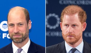 Prince Harry’s Friend Jaco van Gass Honored by Prince William